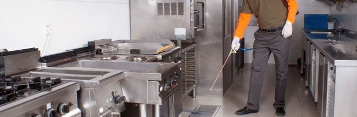 Nitelikli Alan Hizmetleri